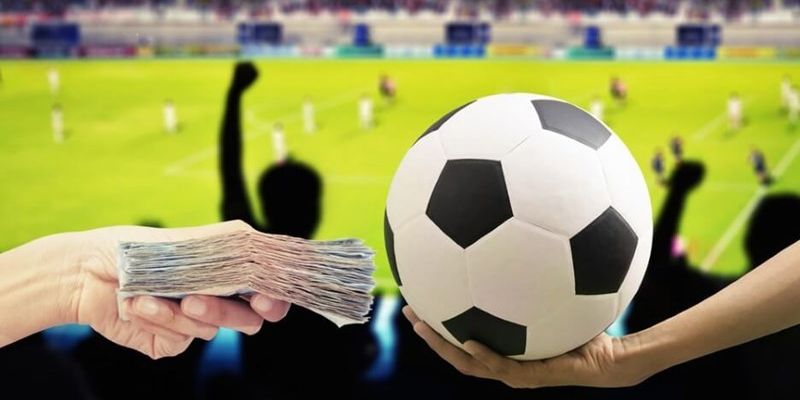 Quy trình thực hiện cách đặt cược kèo bóng đá hiệu quả